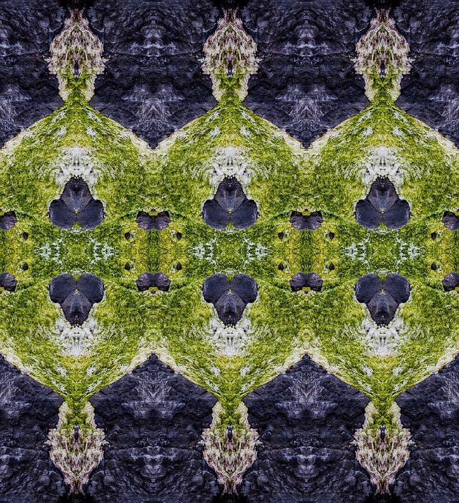 Green Slime 2081 Reflected 6a.jpg